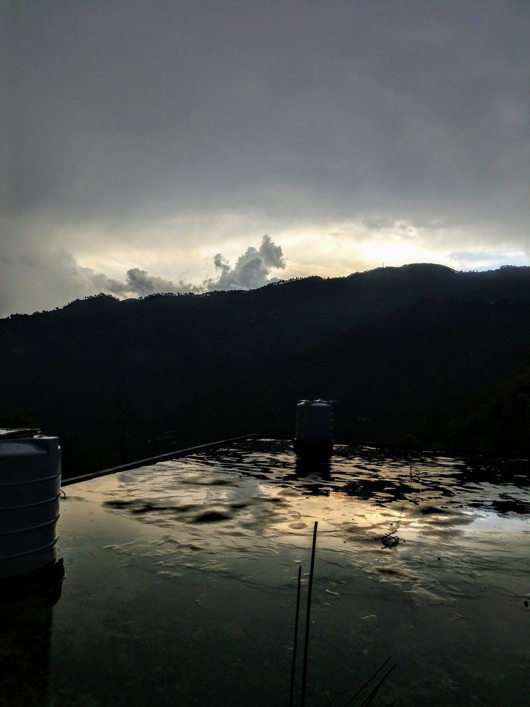 Photo #4588072