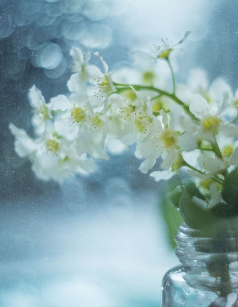 Photograph by Анна Трестьян