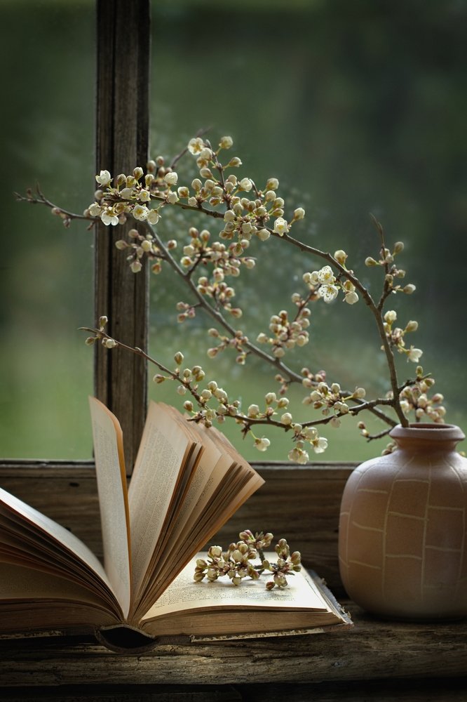 Photograph by Sonata Žemgulienė