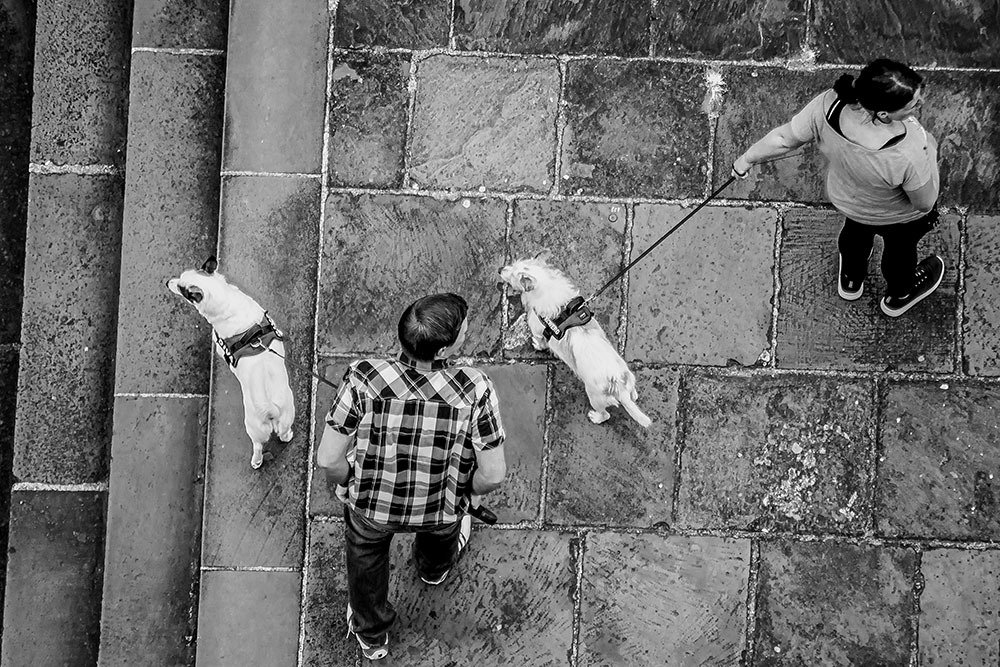 Photograph by Peter Hennig