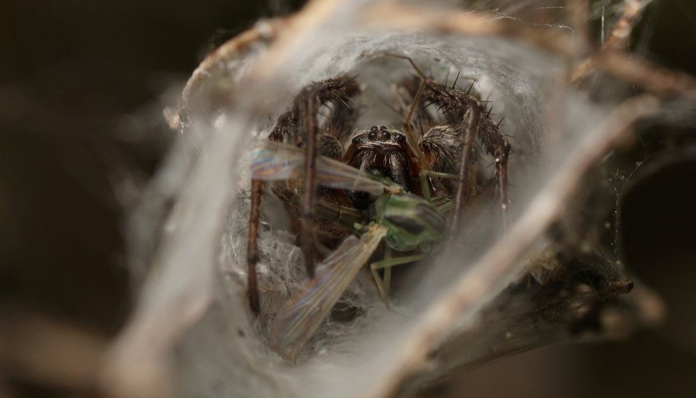 Photograph by Андрей Шартов