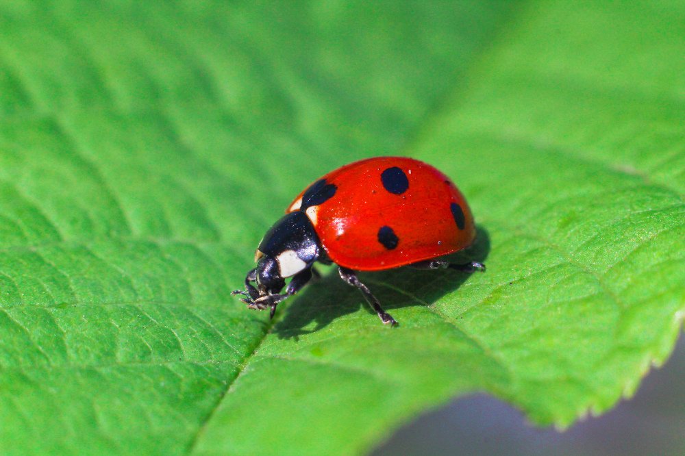 Photograph by Дмитрий Тимин