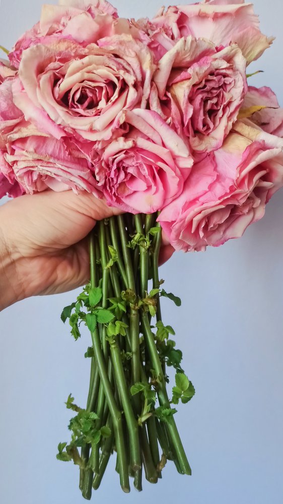 Photograph by Юлия Сайфулина