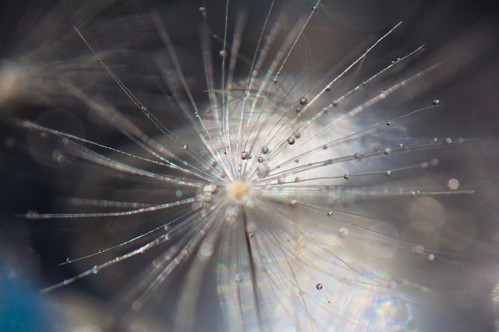 Photograph by Людмила Прибылова