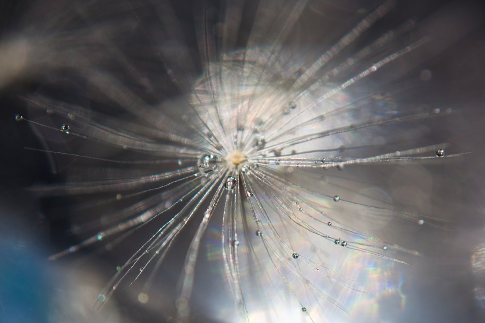 Photograph by Людмила Прибылова