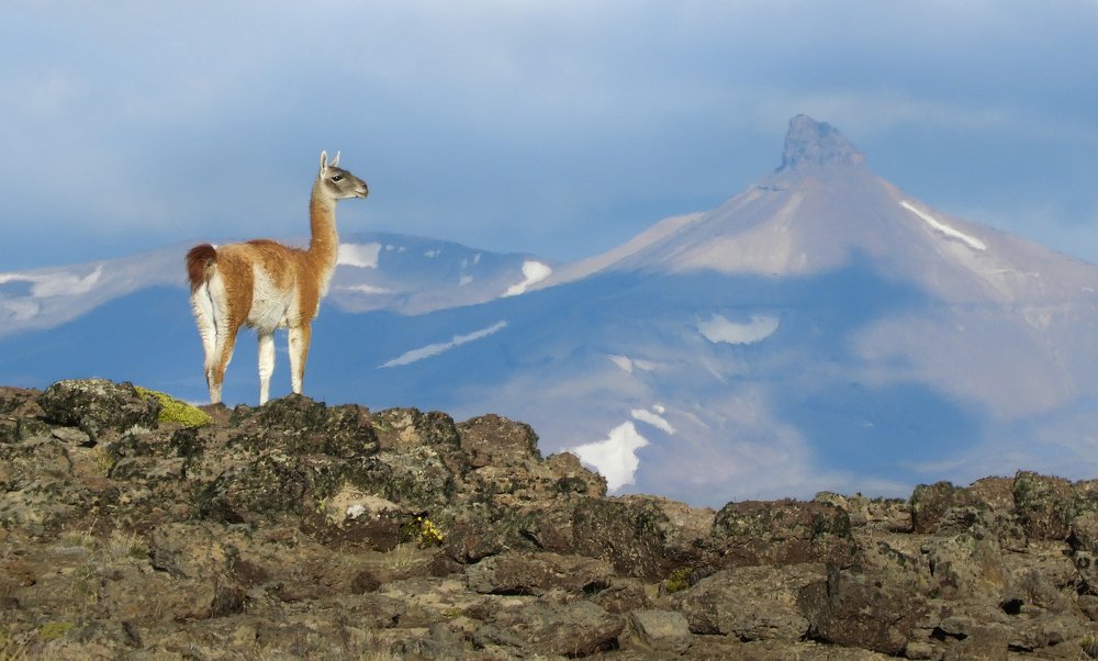 Photograph by Julian Hernandez