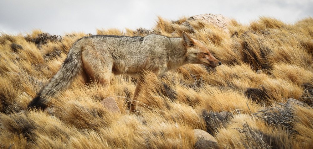 Photograph by Julian Hernandez