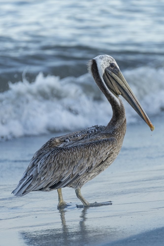 Photograph by Fabio Aristizábal