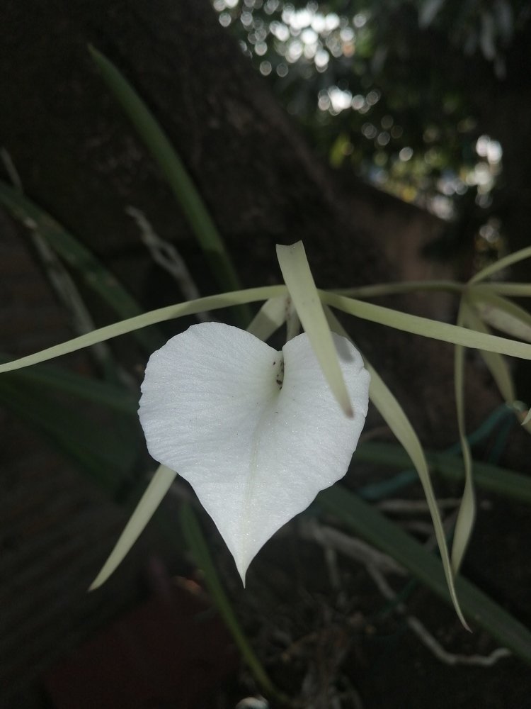 Photo #4588614