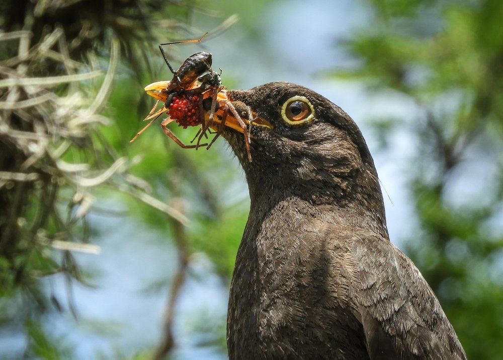 Photograph by Julian Hernandez