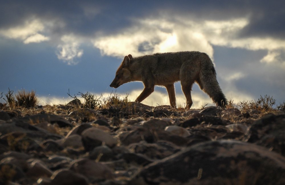 Photograph by Julian Hernandez