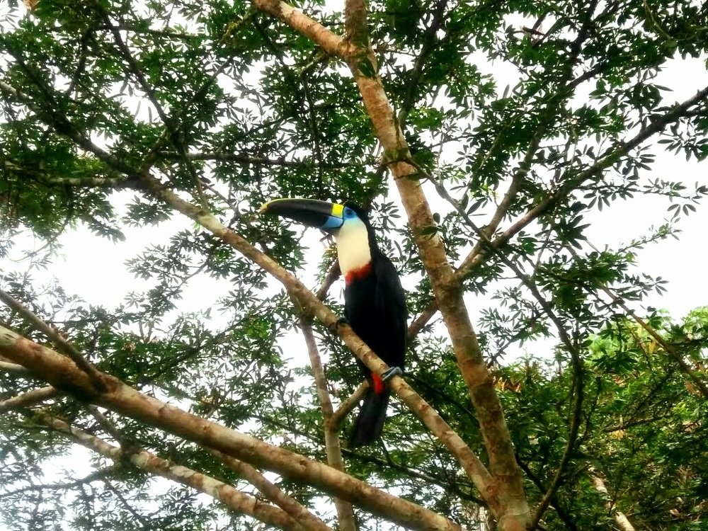 Photograph by Alicia Tipán