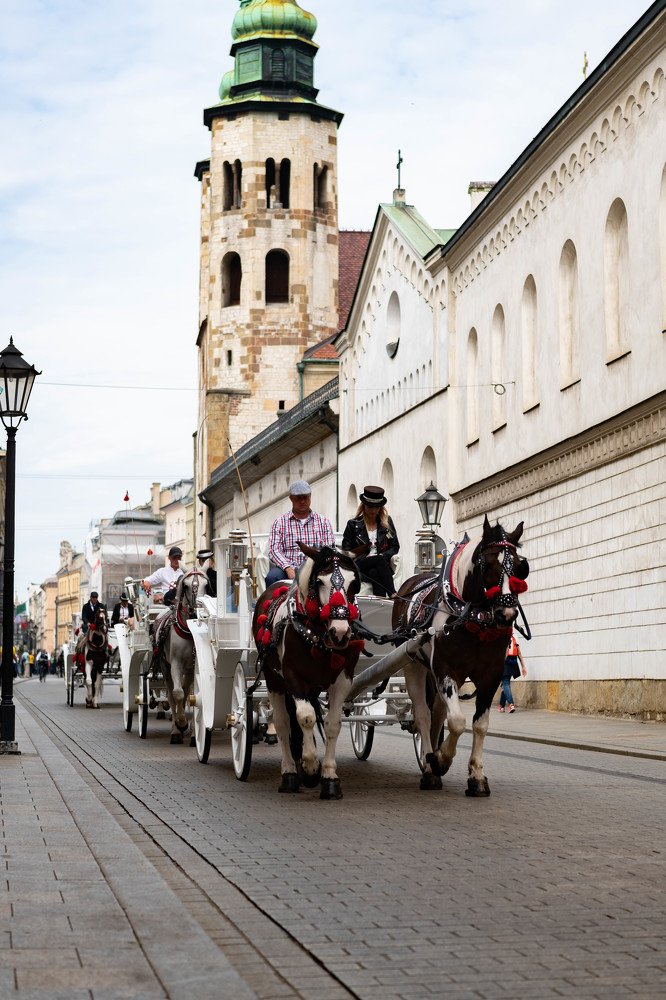 Photograph by Uliya Krakos