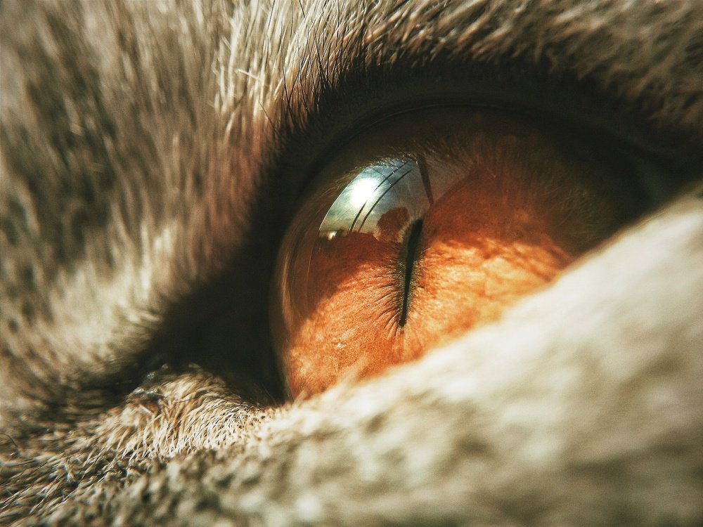 Photograph by Анатолий Жуков