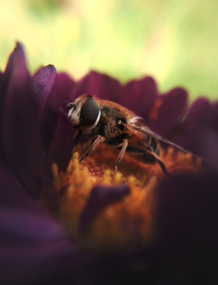 Photograph by Анатолий Жуков