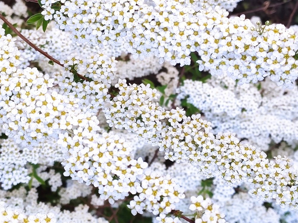 Photograph by Евгений Артемьев