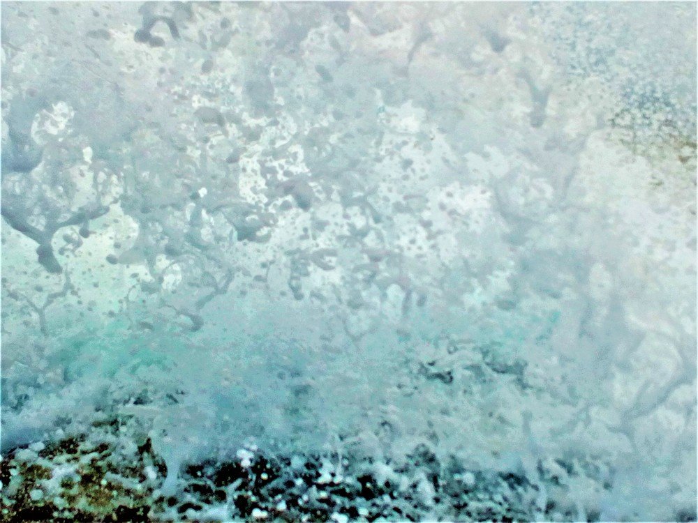 Photograph by Monika Rizova