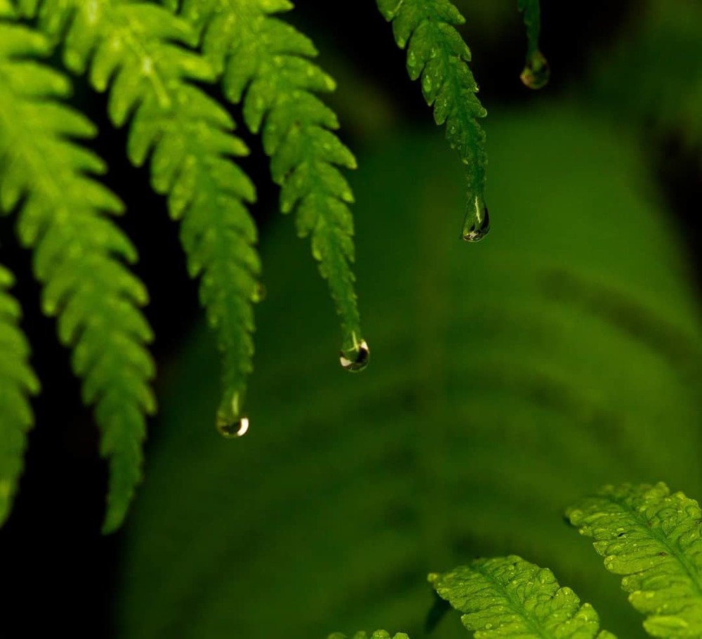 Photograph by Диана Сорокина