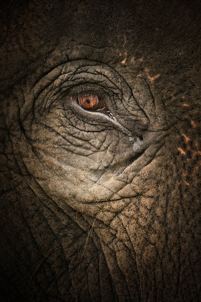 ์ื์์์์ฺNature in Lens