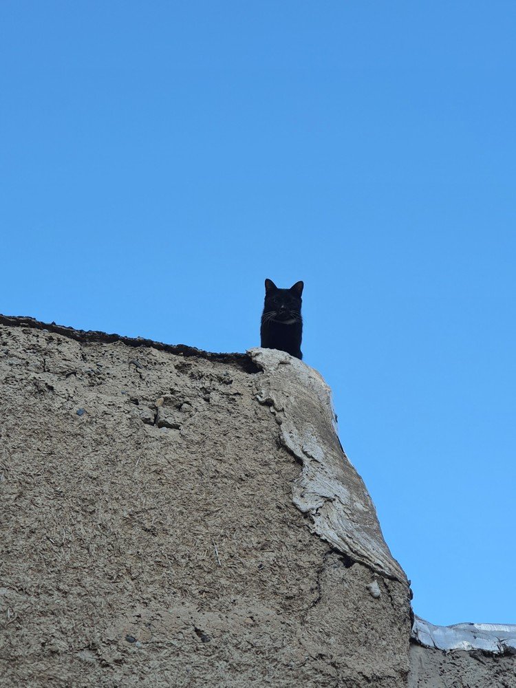 Photograph by Paryia Tofangsaz
