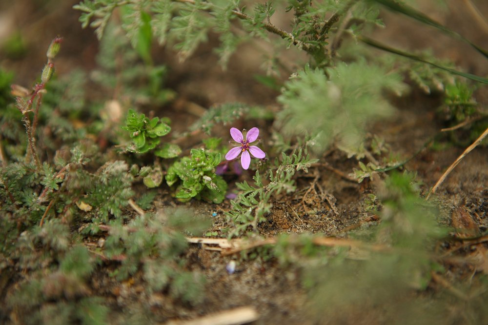 Фотография автора Юлия Капустинская