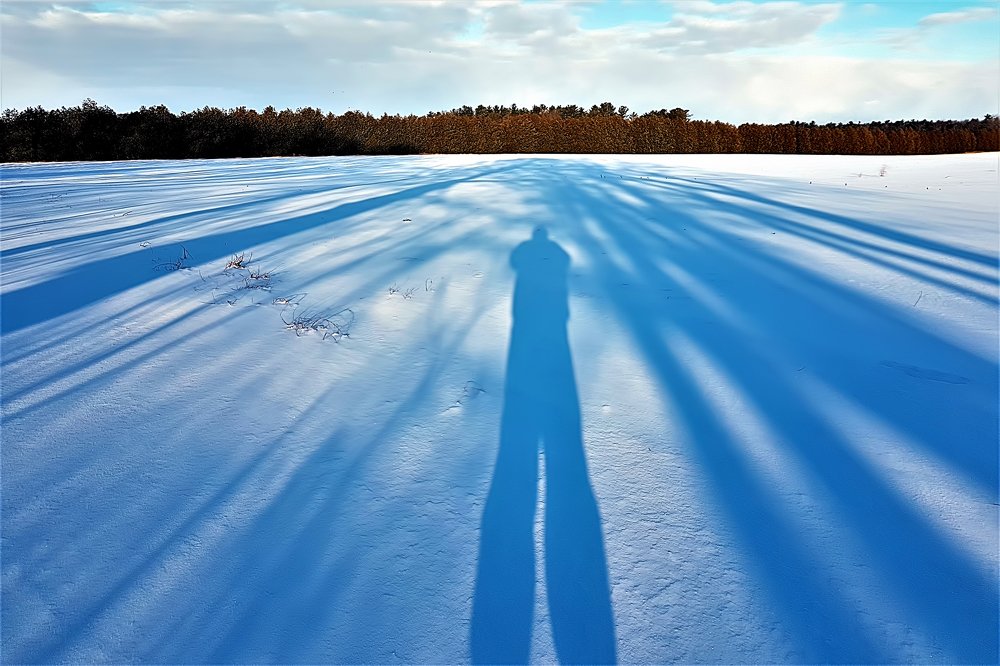 Photograph by Art Bisschop