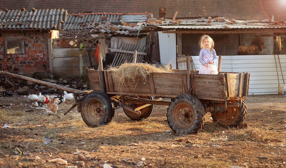 Photograph by Elena Ferciug