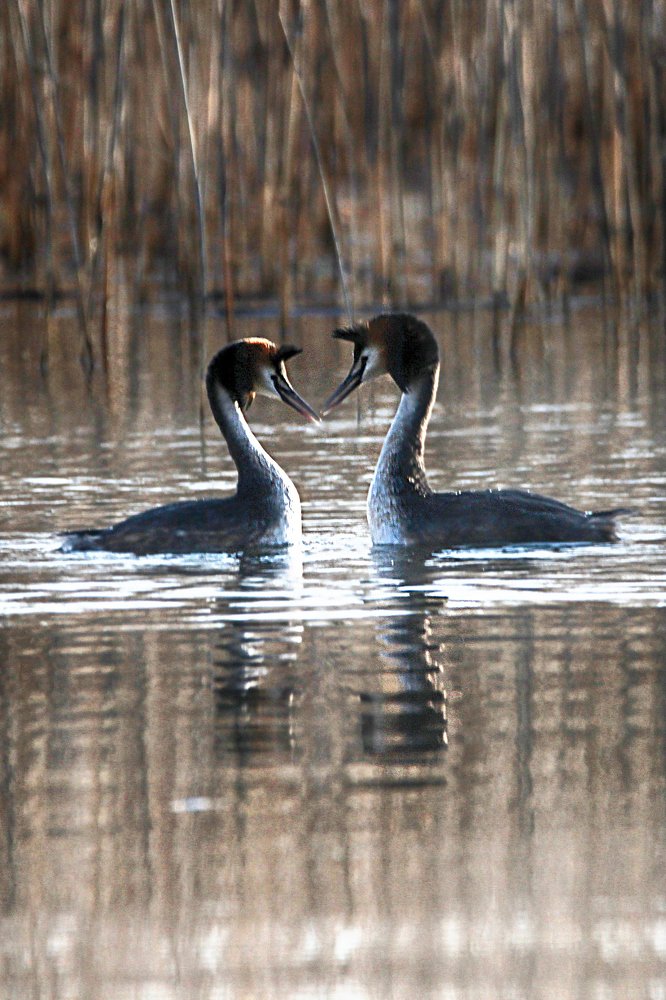 Photograph by Anna Suchcicka