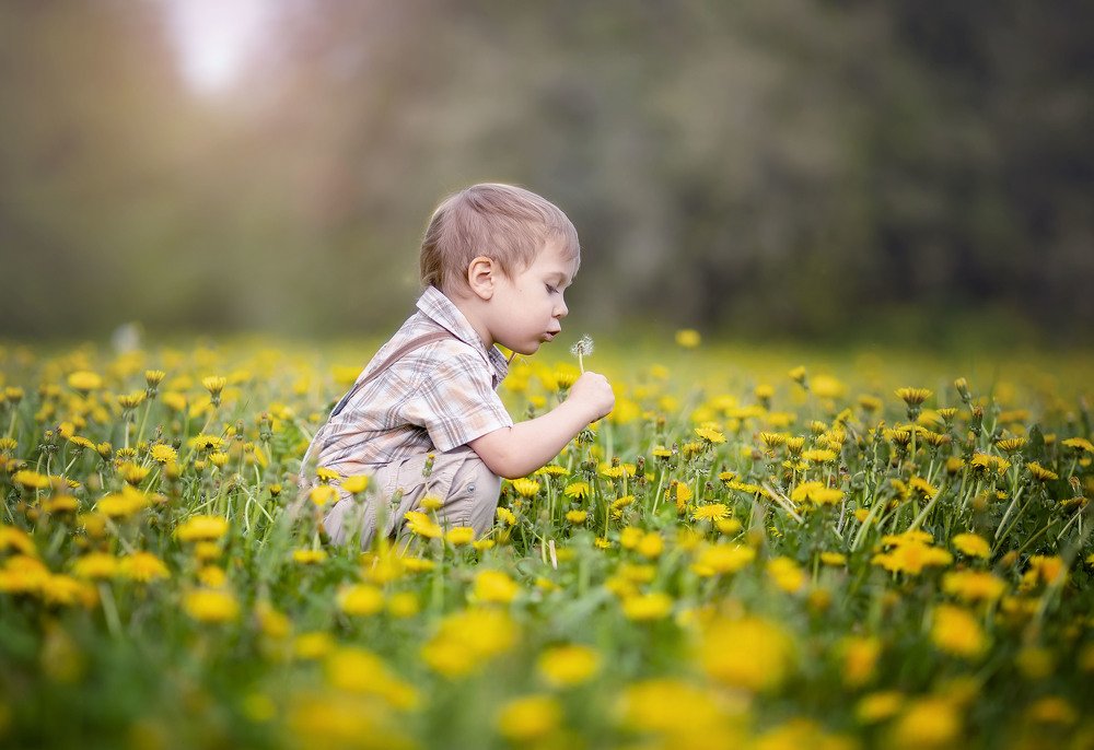 Photograph by Татьяна Гурова