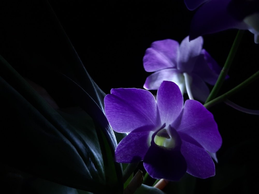 Beauty of Night life