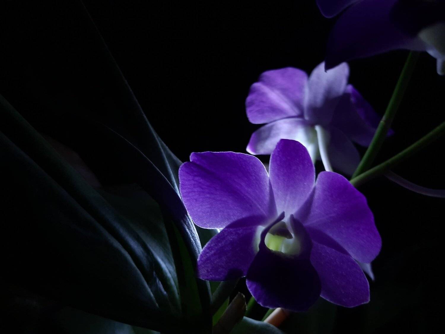 Beauty of Night life