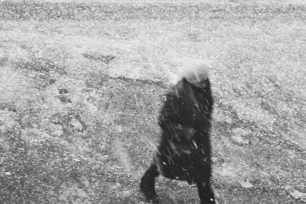 Photograph by Камила Башарова