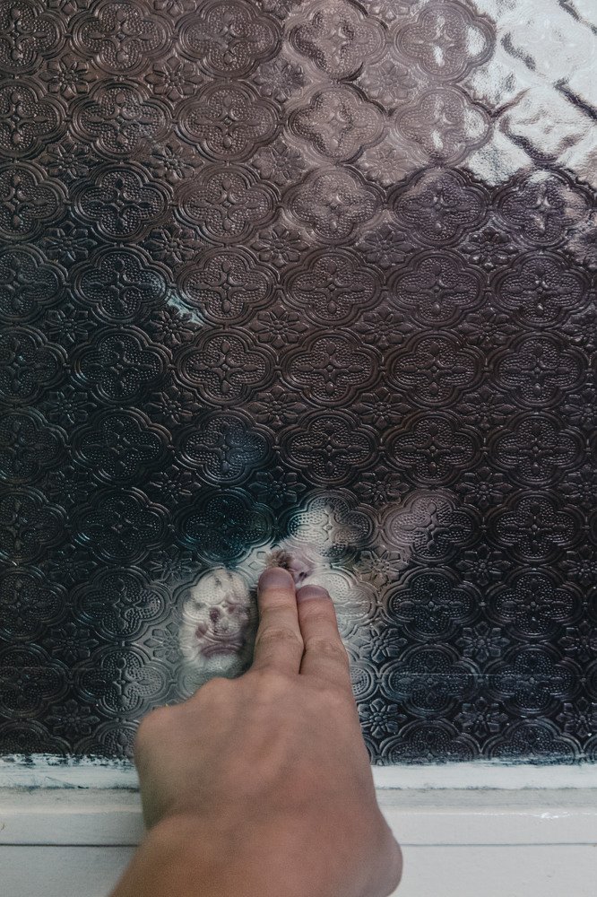 Фотография автора Ivelina Petkova