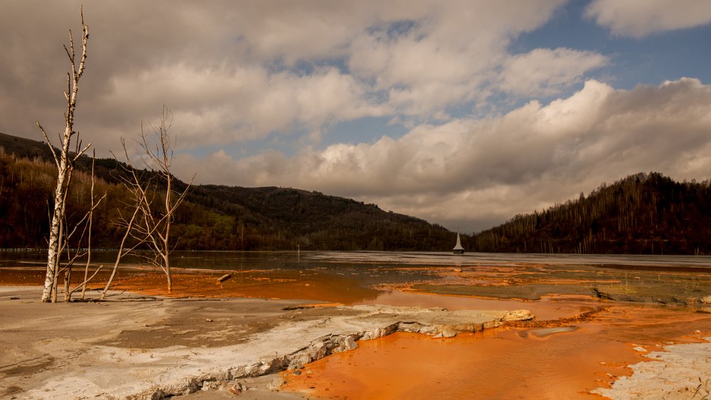 Photograph by Mihai-Cosmin Paun