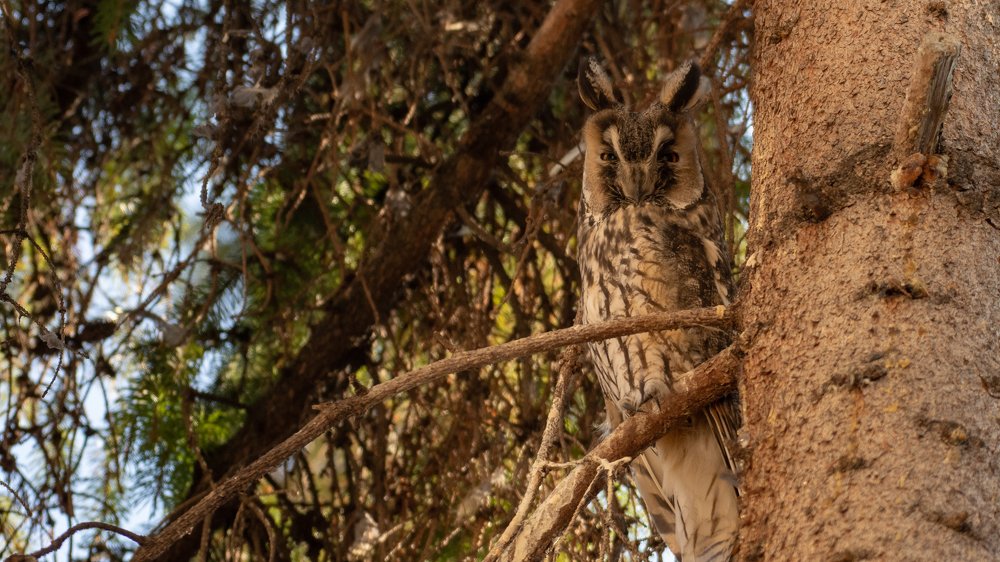 Photograph by Mihai-Cosmin Paun