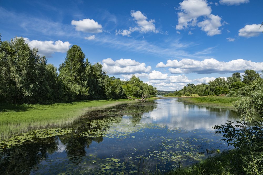 Волжские затоны.... Теплым летним днем...