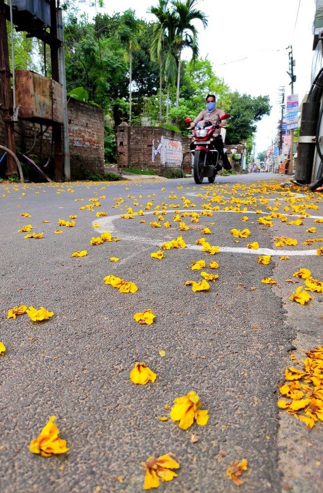 Another beautiful side effect of lockdown