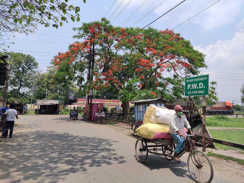 They still works during lockdown ❤️