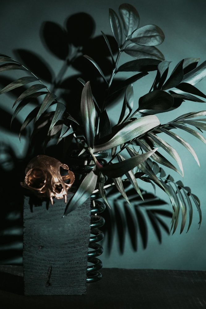 Photograph by Анна Дубровина