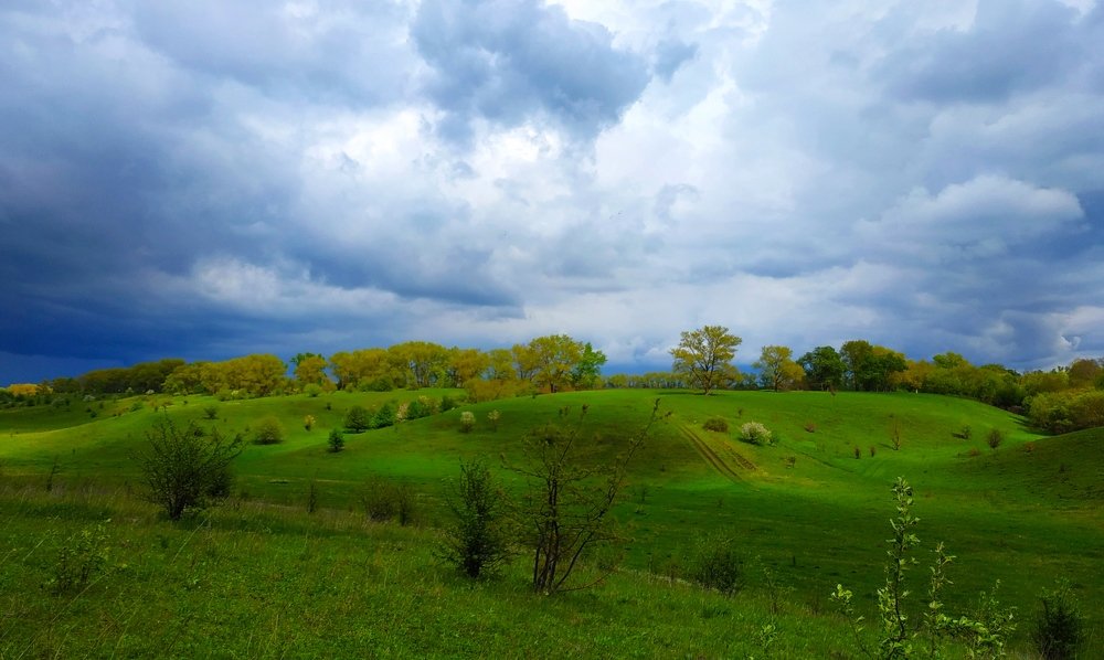 Родные просторы.