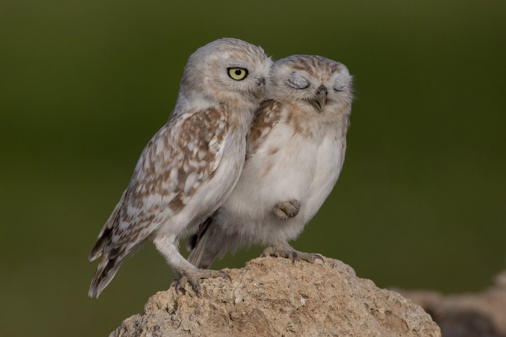 Photograph by Kannan Rajan Nair