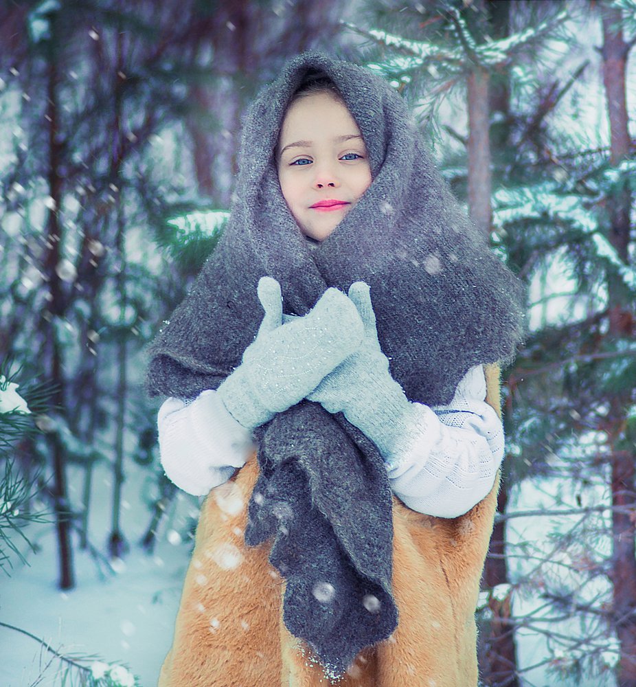 Photo #4590346