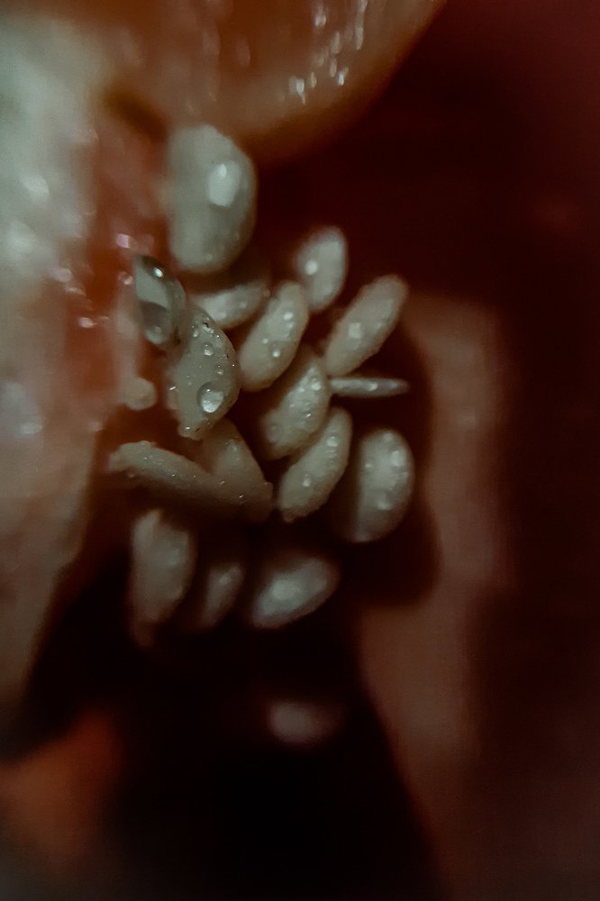 Фотография автора Наталина Семченко