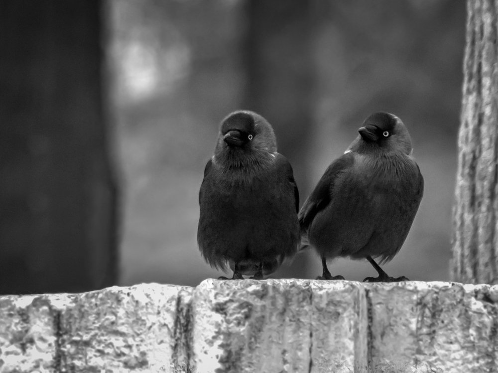 Photograph by Андрей Мишин