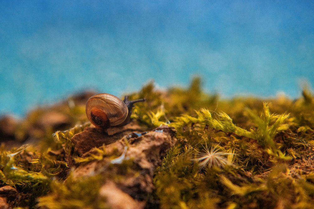 Photograph by Ирина