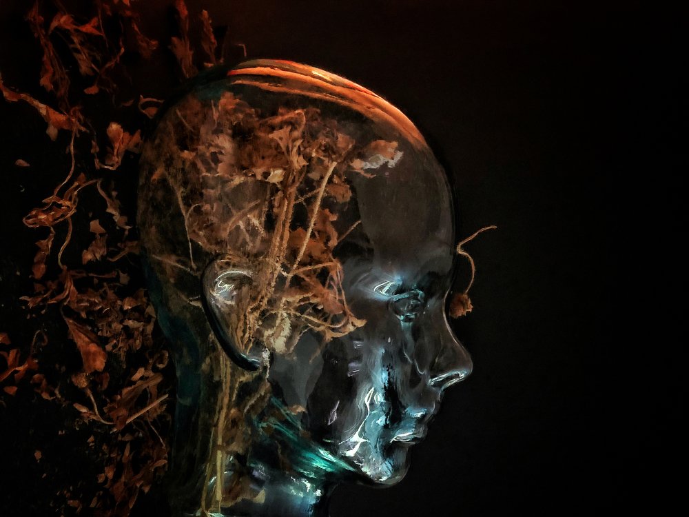 Фотография автора Edwin Loyola