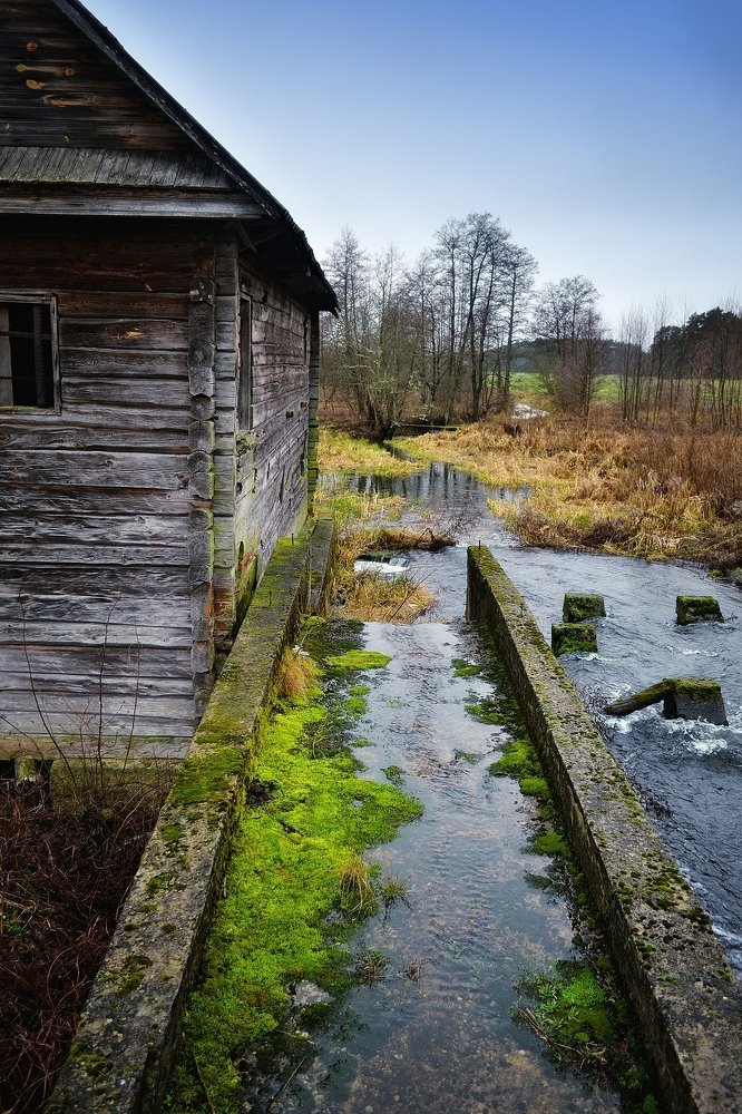 Фотография автора Роман Володащик