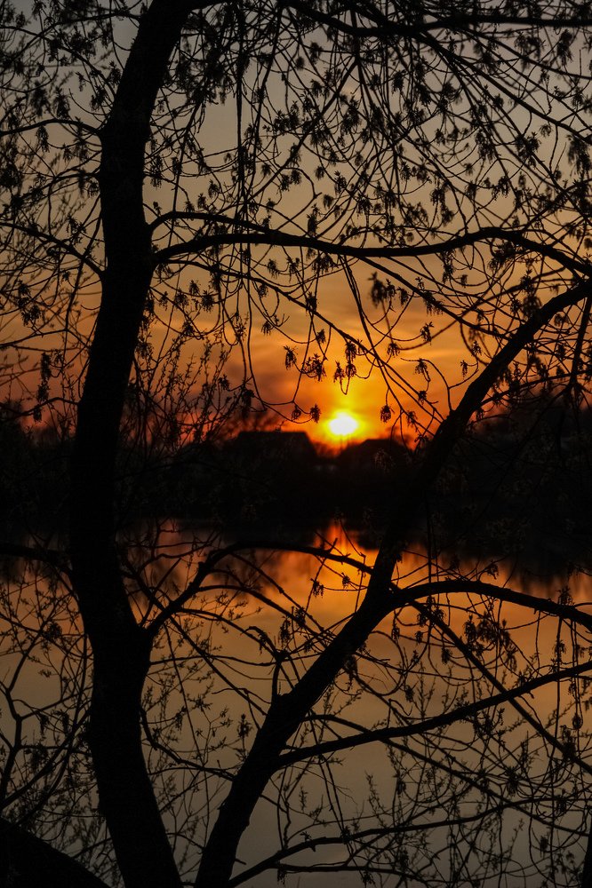 Photograph by Татьяна Ветрова