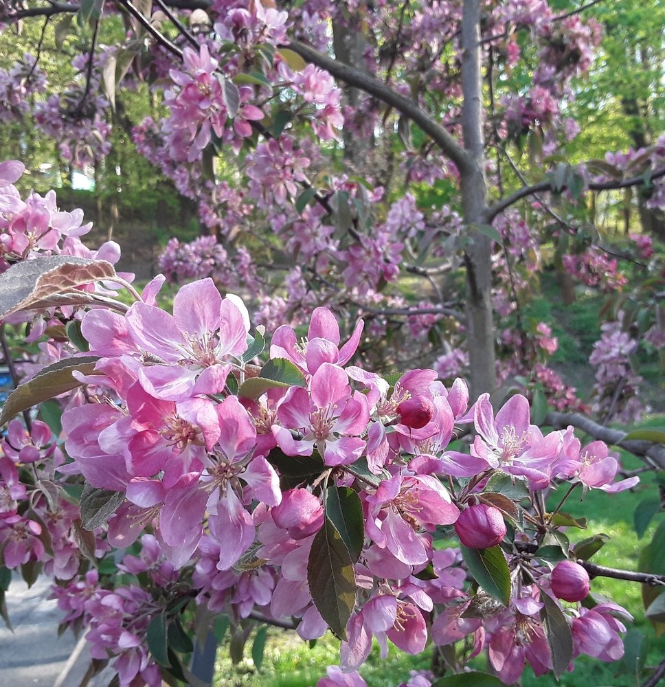 Photograph by Елена Шерман