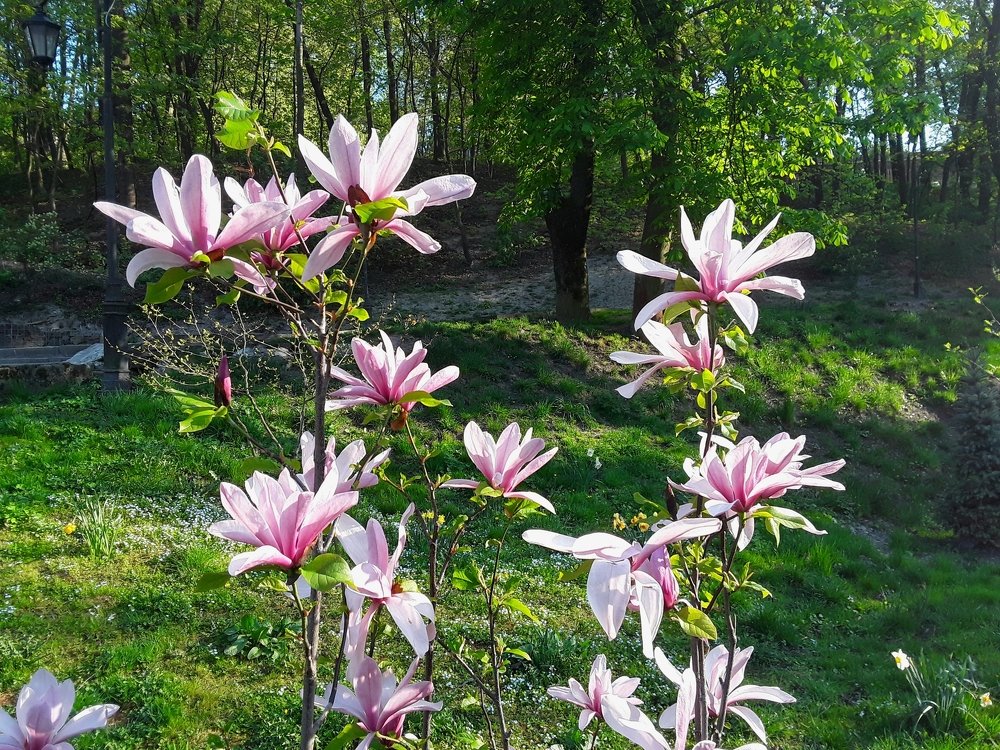 Photograph by Елена Шерман